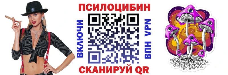 цена наркотик  Майкоп  Псилоцибиновые грибы Psilocybe 